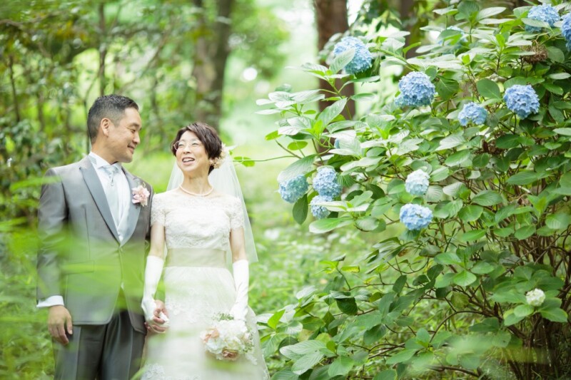 あじさいに囲まれて