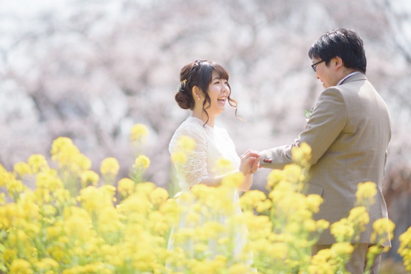 桜の季節は菜の花の季節でもあるんです！