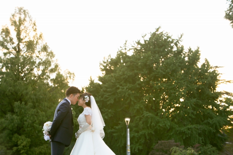 夕暮れ時の光がロマンチック