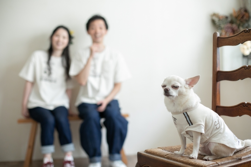 目つぶりワンちゃん