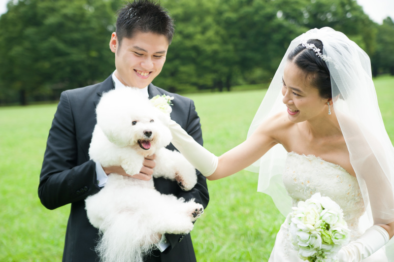  ecooさんにお願いしてよかったです（洋装ロケーションプラン）