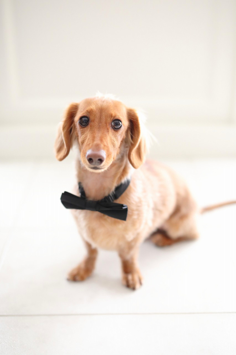 お色直しだってしちゃうもん！