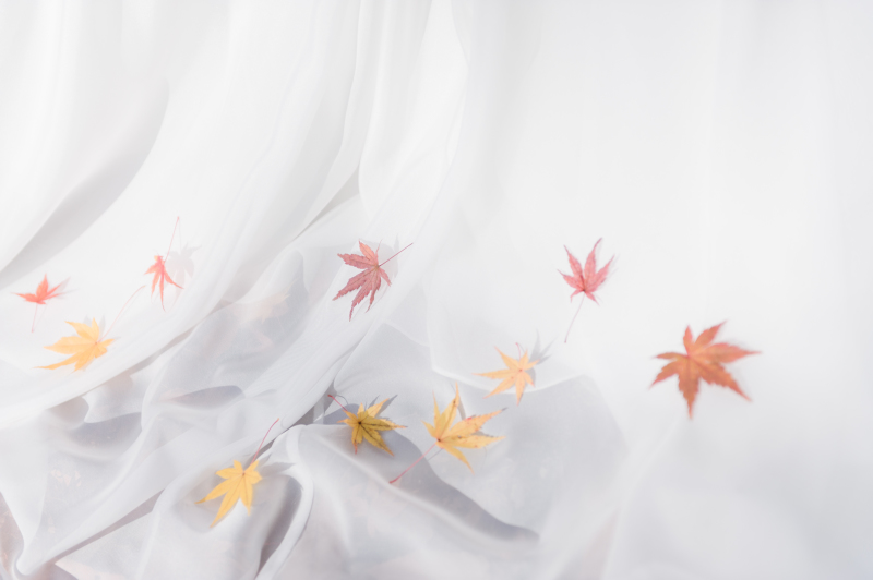 もみじ柄のドレス！？