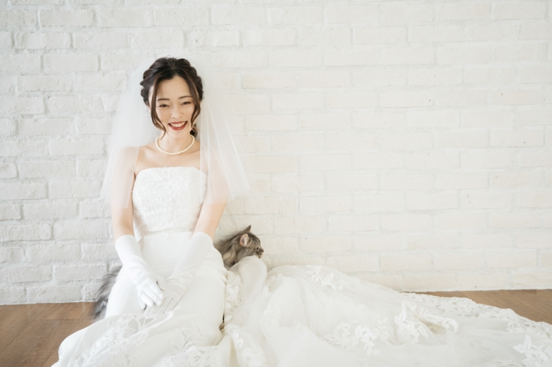 花嫁様の後ろをそろりそろり