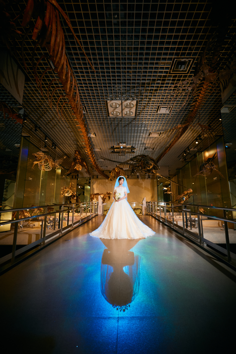 青いライトを活かして