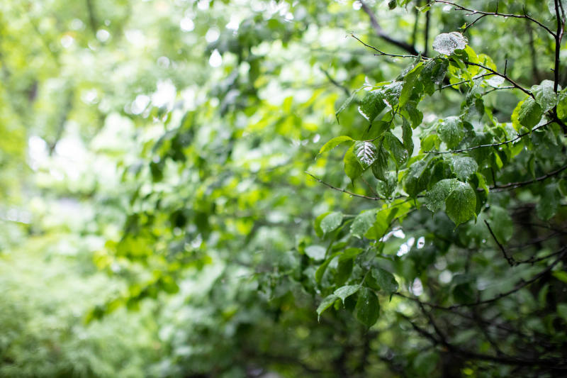 お庭もとってもステキです◎