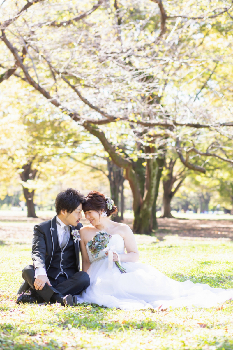 秋の木々ならではの色合い。