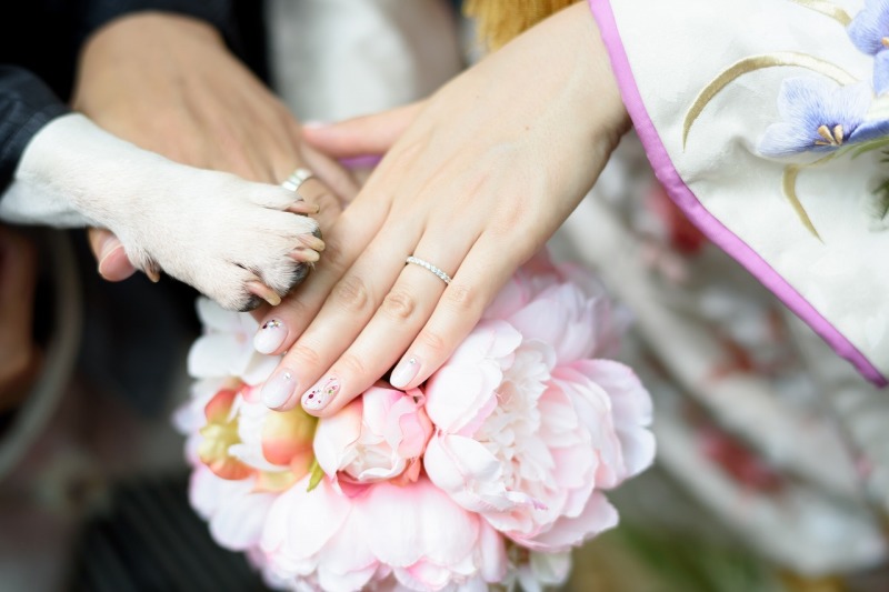 お手合わせポーズもわんちゃん一緒に