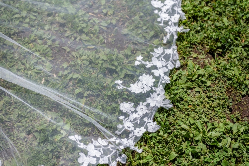 トレーンのレースも