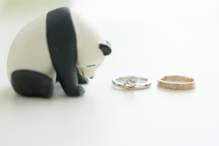 ご対応がとにかく家族に好評でした！ 素敵な時間と写真をありがとうございました！！