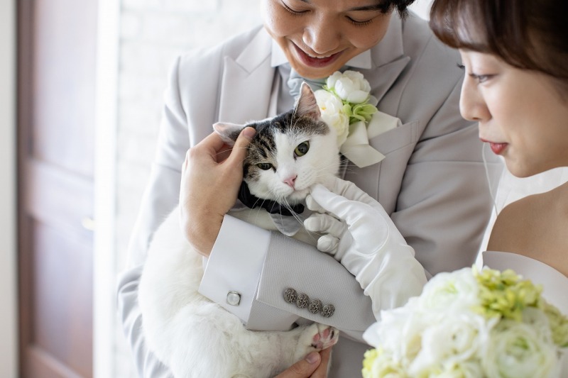 なでなで