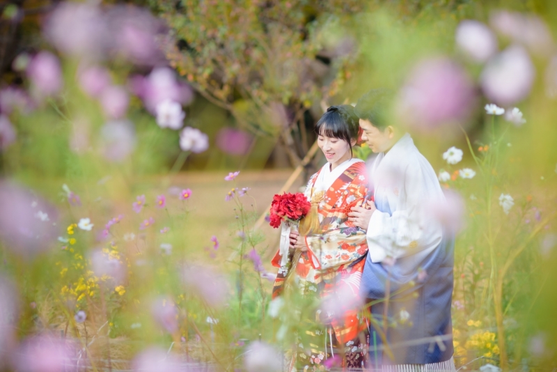 コスモスと一緒に