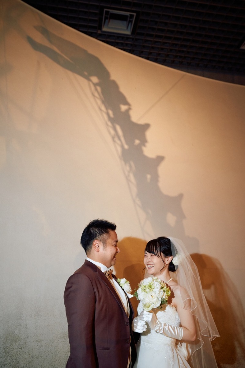 首の長ーい恐竜