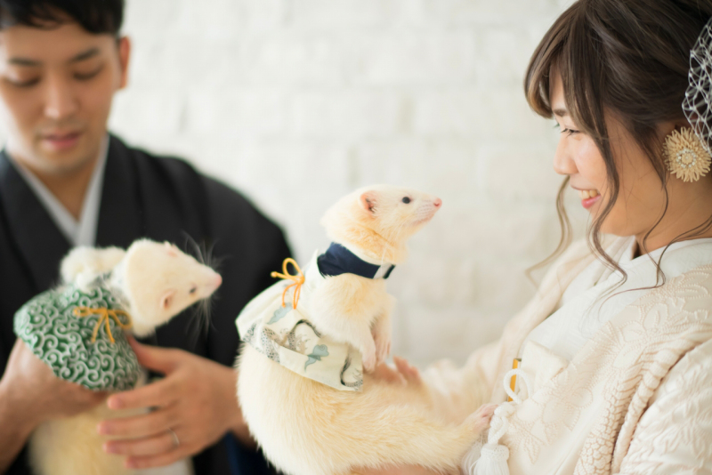 フェレットちゃんもおめかし！
