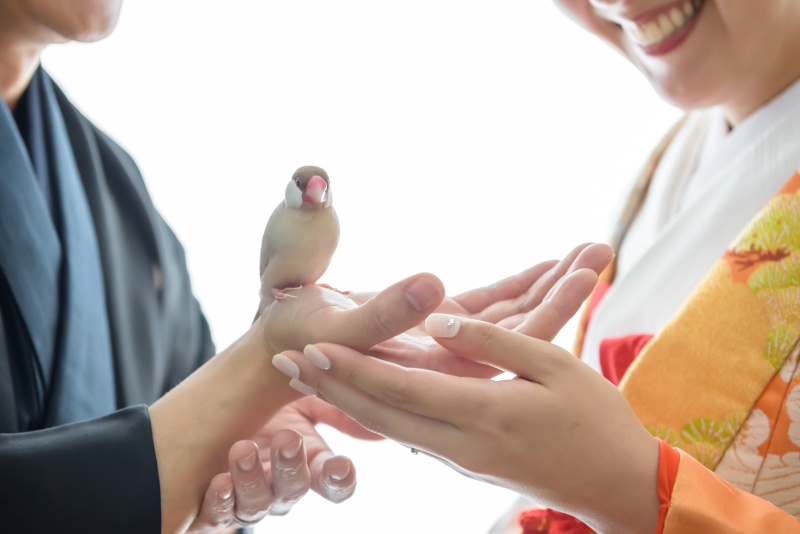 大活躍でした！