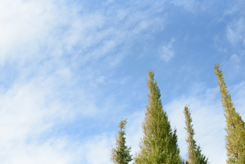 晴れていたら外でも撮影！