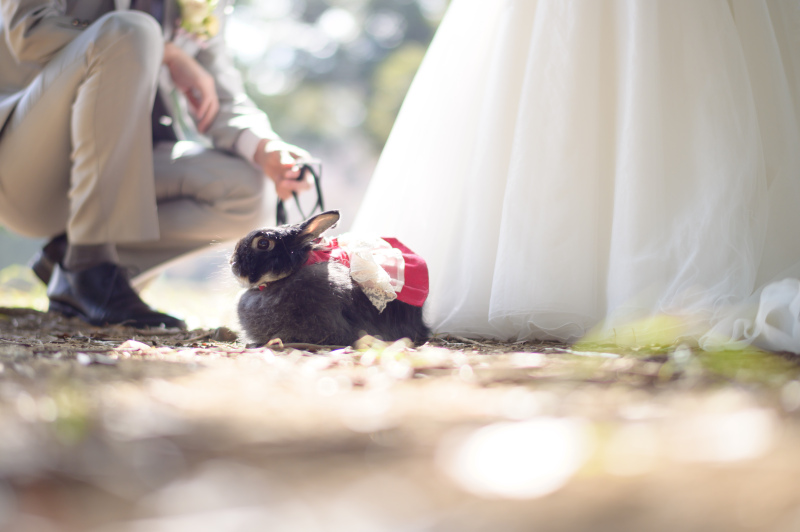 キラキラのお写真