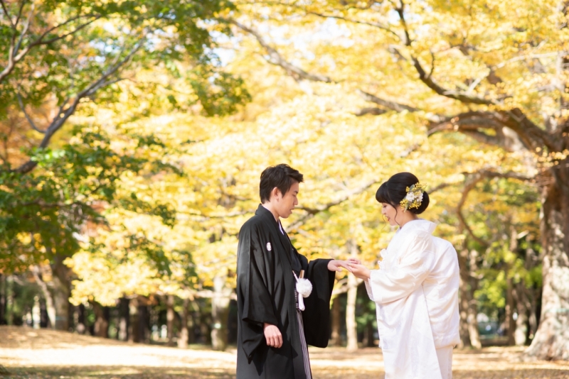 紅葉まっさかり