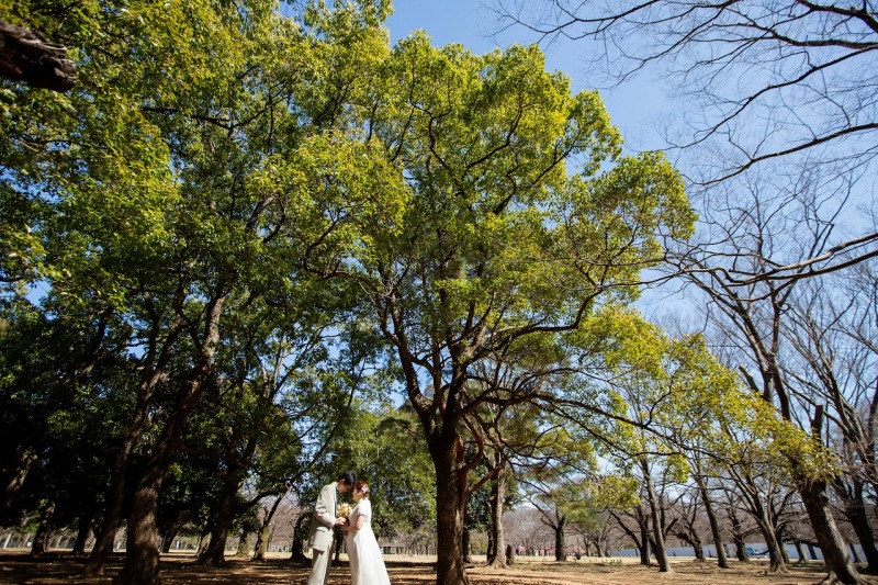 大きな木の下で