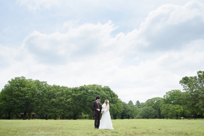 広い青空と緑とともに