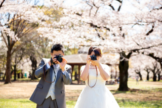 桜と一緒にフォトウエディング