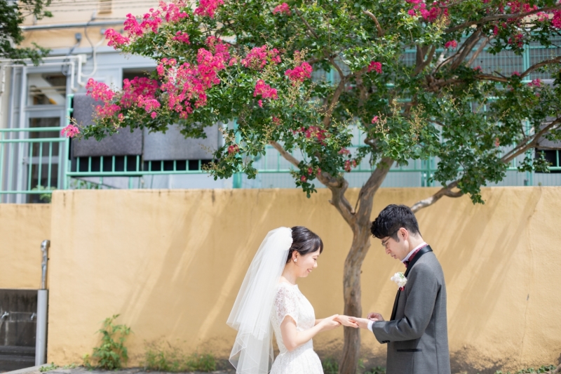 ピンクのかわいい百日紅の木