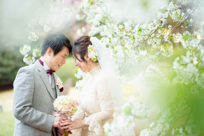 白の桜がとっても可憐