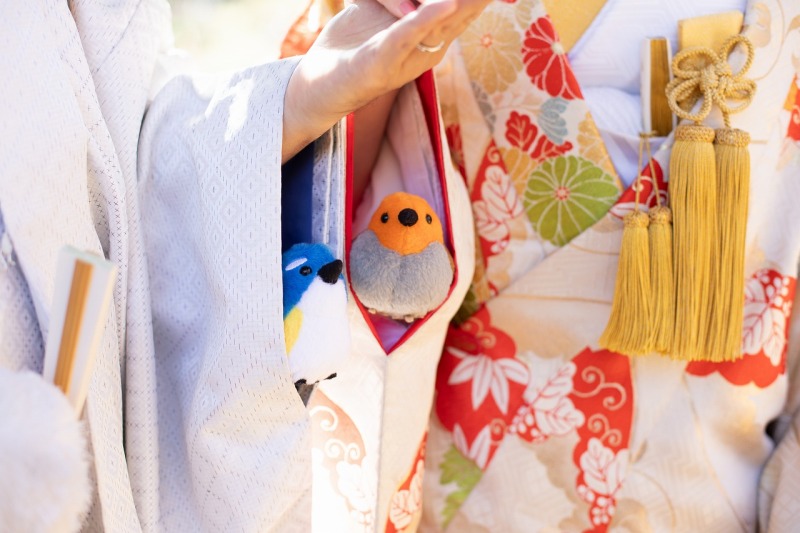 お着物の中からこんにちは!