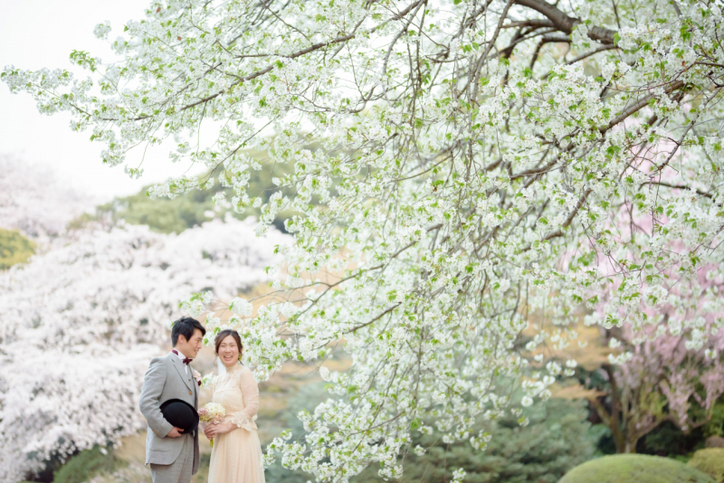 国立博物館と満開の桜！！