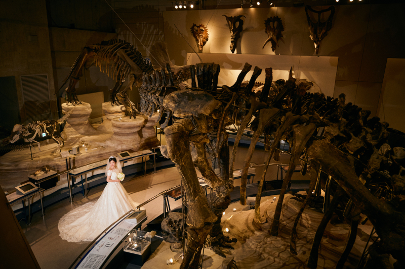 空間を活かした広々ショット