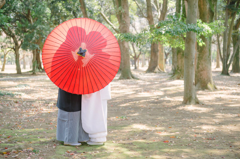 ソメイヨシノ、以外も素敵でした！