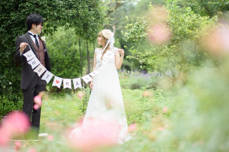 バラのピンクを透かして