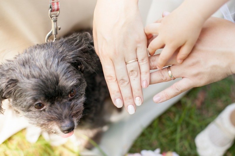 わんちゃんだって大切な家族