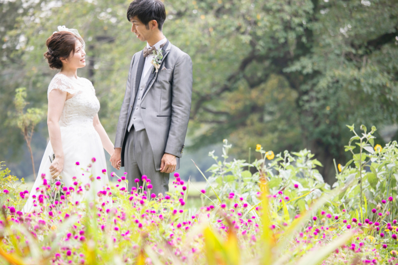 ピンクと黄色と緑と。秋のお花が色とりどり