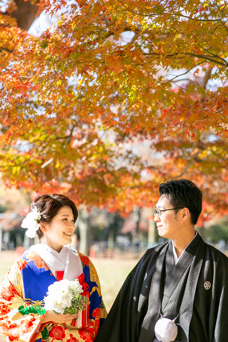 冬のキラキラの光