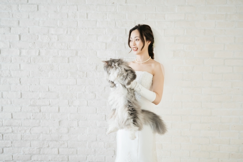 大きい猫ちゃん!