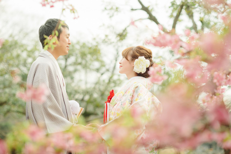 和装はロケーションで。河津桜と一緒に。