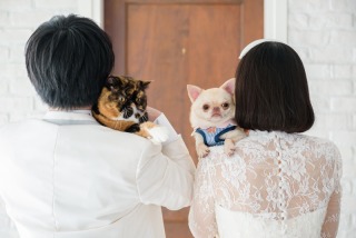 【スタジオ撮影】わんちゃん・猫ちゃんと一緒に
