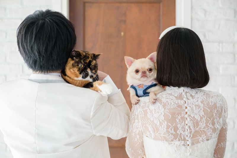 【スタジオ撮影】わんちゃん・猫ちゃんと一緒に