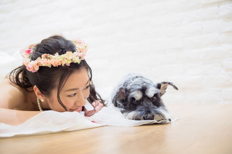 素敵に撮ってもらえました！自分達でも驚きの仕上がりです！（和洋スタジオ）