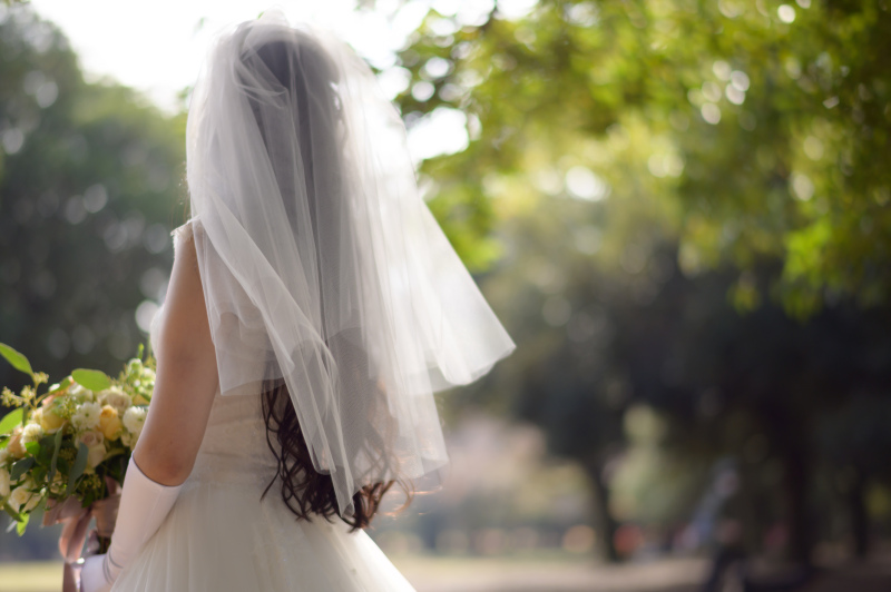 後ろ姿もしっかりと