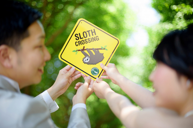 打ち合わせの時から親切に対応していただき安心感がありました。