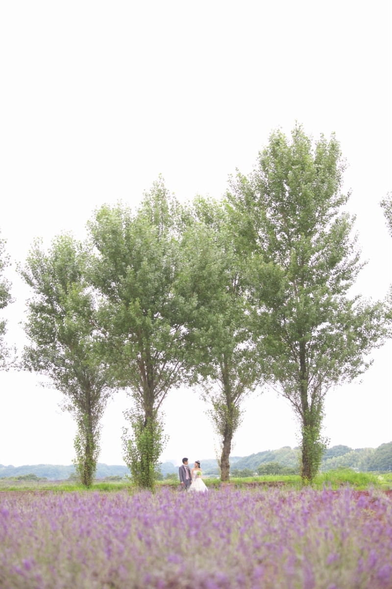 ここはどこ??北海道??な風景!