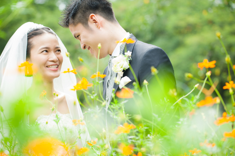 コスモス　コスモス　花よめ　花むこ