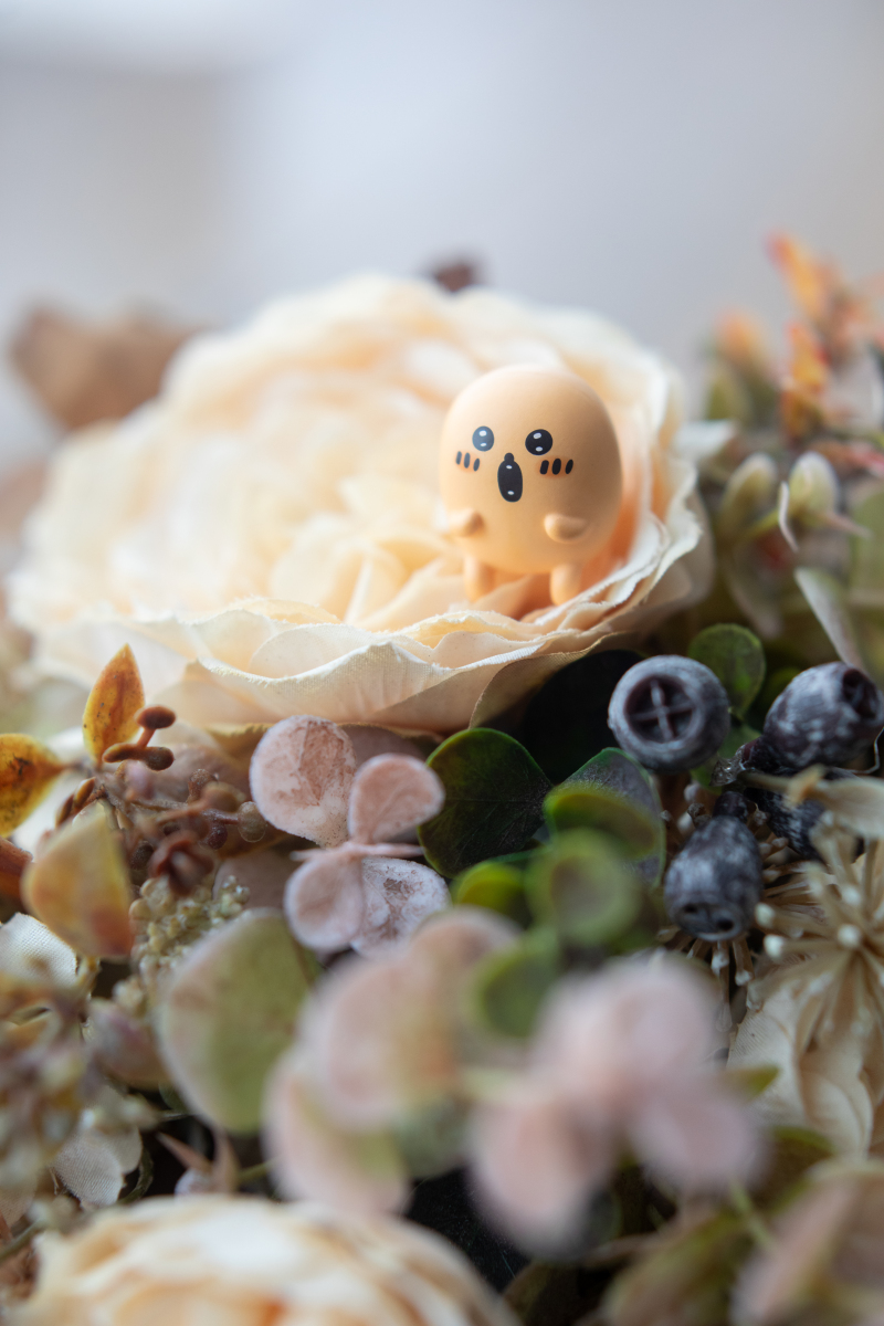 小物のみの物撮りもOK