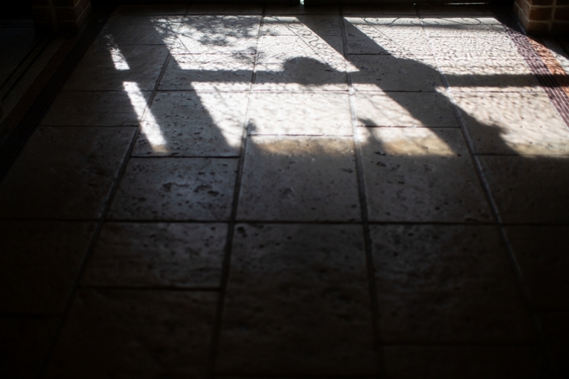 春の木漏れ日の中で