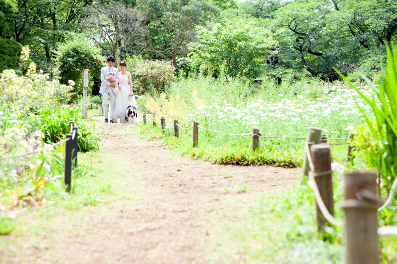 お散歩シーンももこんなに素敵に！