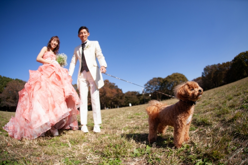 青空がまぶしい！