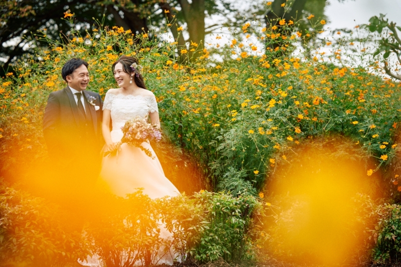 コスモスと一緒に