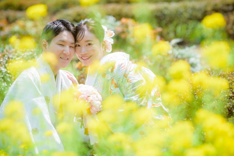 桜の季節は菜の花の季節でもあります